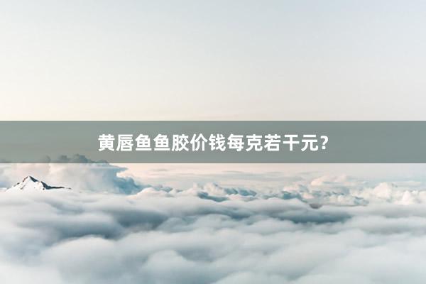 黄唇鱼鱼胶价钱每克若干元？